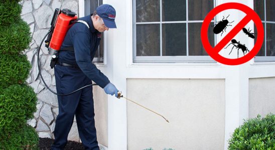 Mesudiye Bit İlaçlama böcek ilaçlama ve haşere kontrolü — ilaclama-tr.com